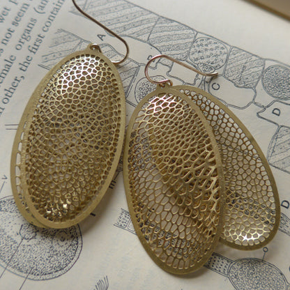 Capsule Earrings