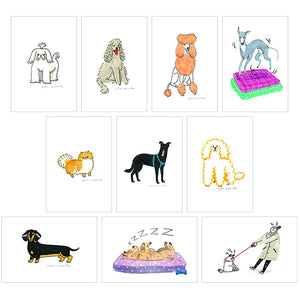 Dog Box - 100 Canine Postcards