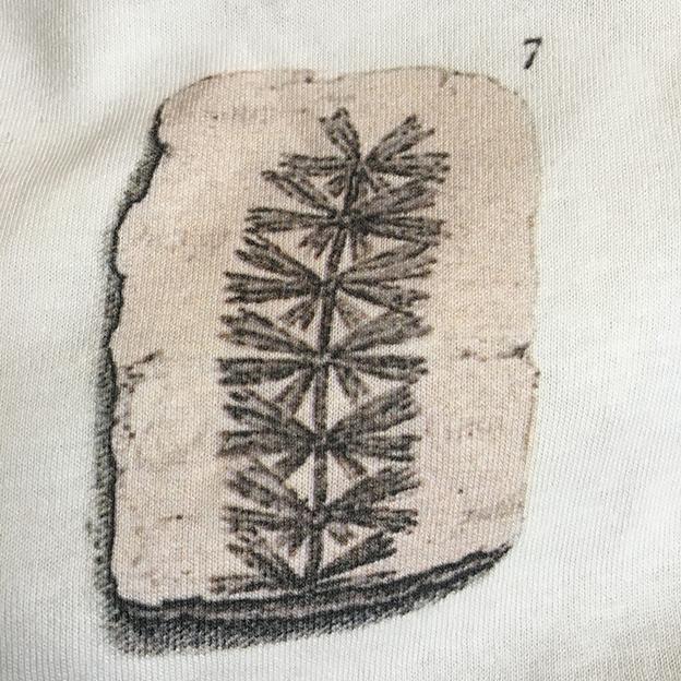 Eleven Fossils Children's T-Shirt