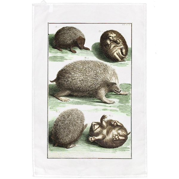 Hedgehogs Tea Towel
