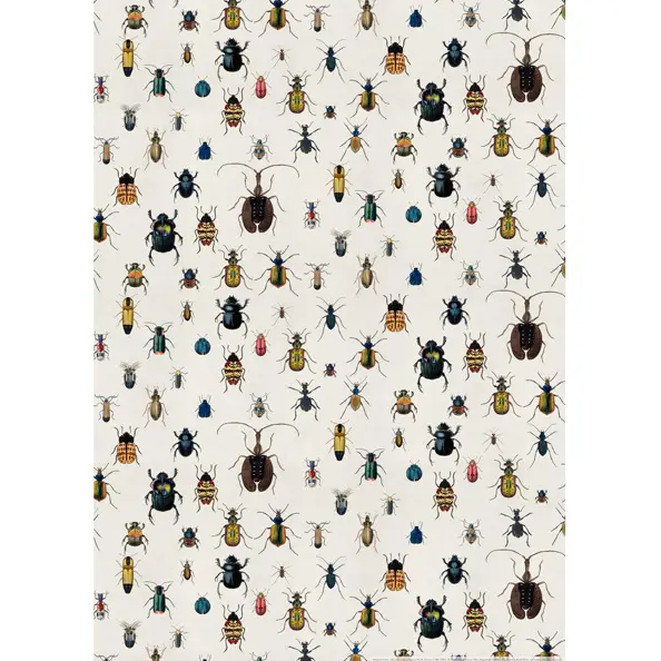 Bugs and Beetles Wrapping Paper