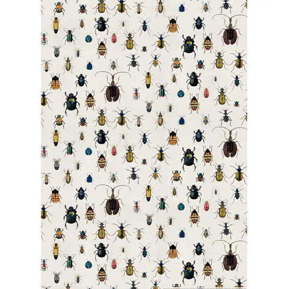 Bugs and Beetles Wrapping Paper - Present Indicative