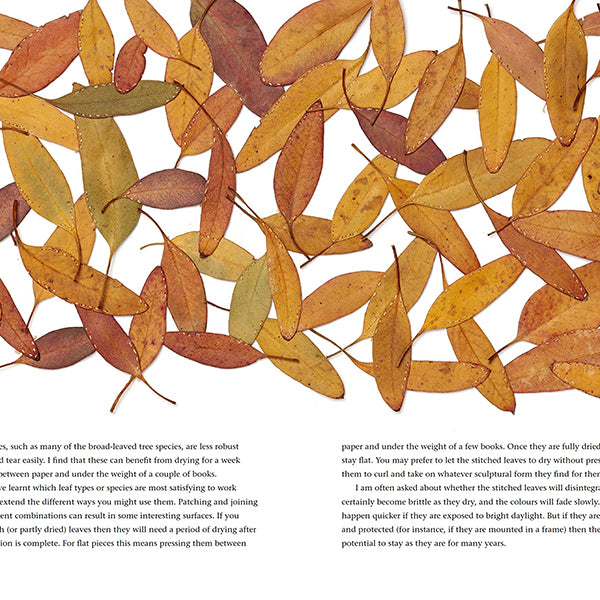 Wild Textiles: Grown, Foraged, Found – Present Indicative