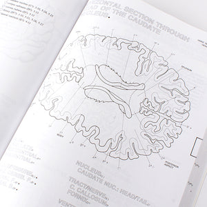 Human Brain Colouring Book