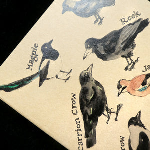 Crow Explainer Notebook