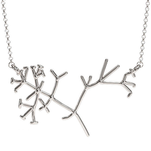 Darwin Tree of Life Necklace