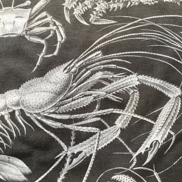 Haeckel's Decapoda Unisex T-shirt - Grey