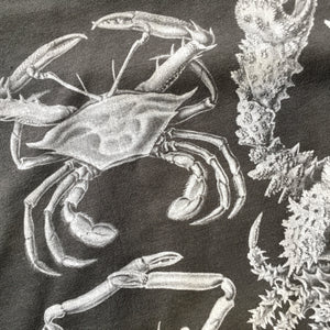Haeckel's Decapoda Unisex T-shirt - Grey
