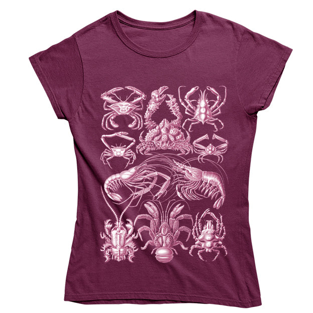 Haeckel's Decapoda Women's T-shirt - Burgundy