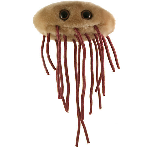 Bacteria plush sales