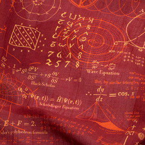 Equations that Changed the World Scarf