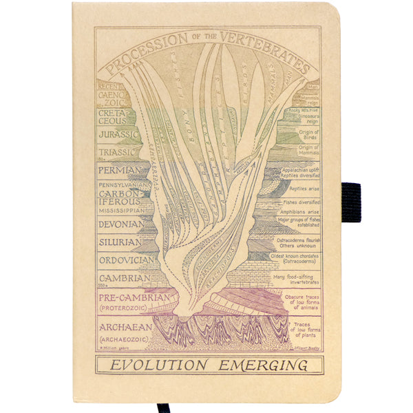 Evolution Emerging A5 Kraft Notebook - Present Indicative
