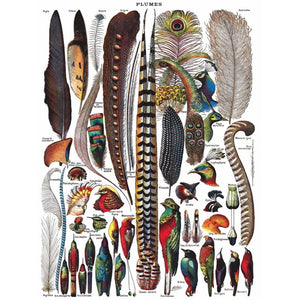 Feathers 1000-piece Jigsaw Puzzle
