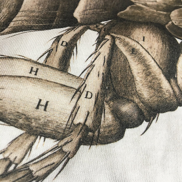Hooke's Flea Unisex T-shirt