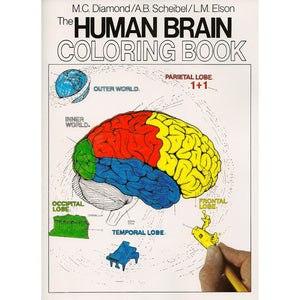 Human Brain Colouring Book