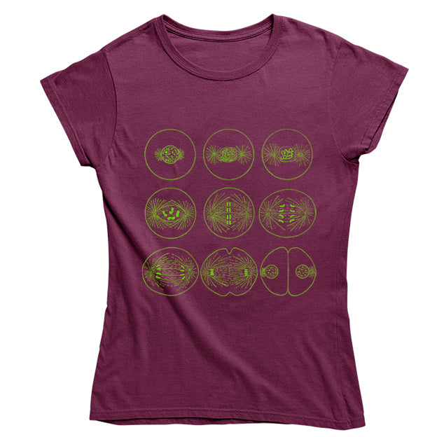 Mitosis Women's T-shirt