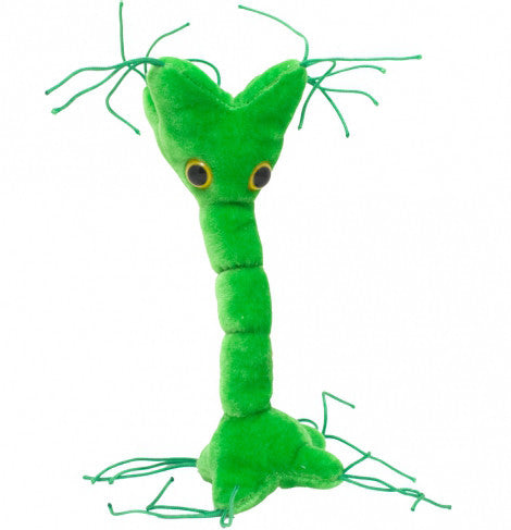 Nerve Cell - Giant Microbes