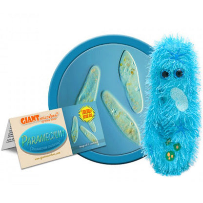 Paramecium - Giant Microbe