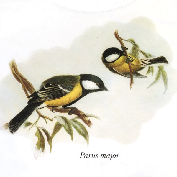 Parus major Women's T-shirt - Fitted