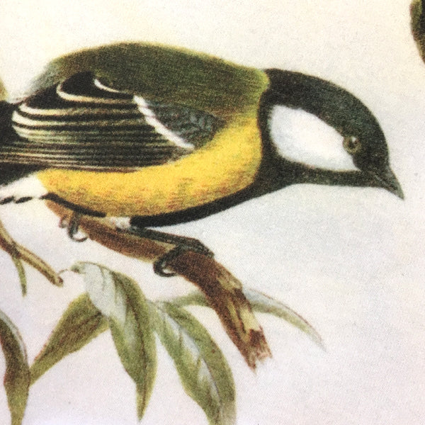 Parus major Women's T-shirt - Fitted