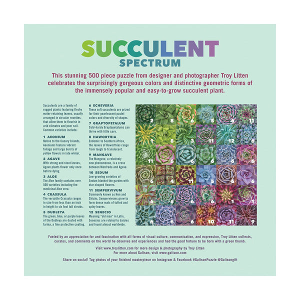 Succulent Spectrum 500-piece Jigsaw Puzzle
