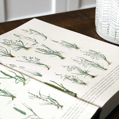 The History of the World in 100 Plants