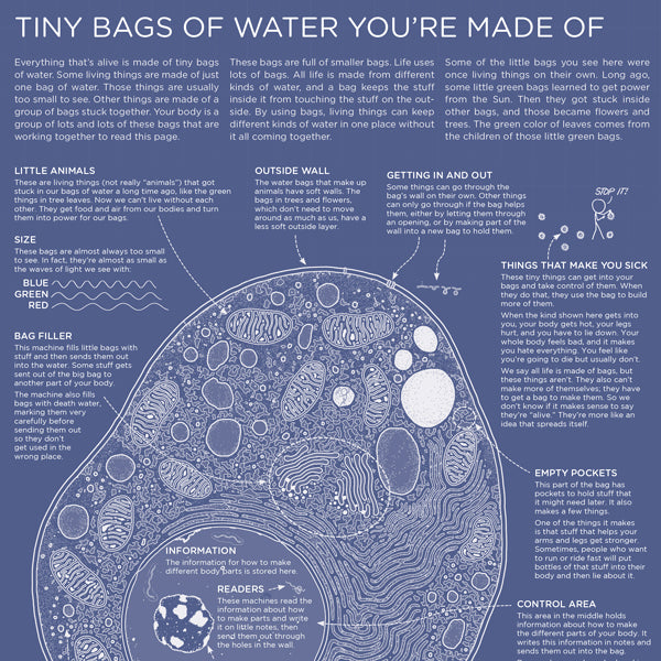 Thing Explainer: Complicated Stuff in Simple Words – Present Indicative