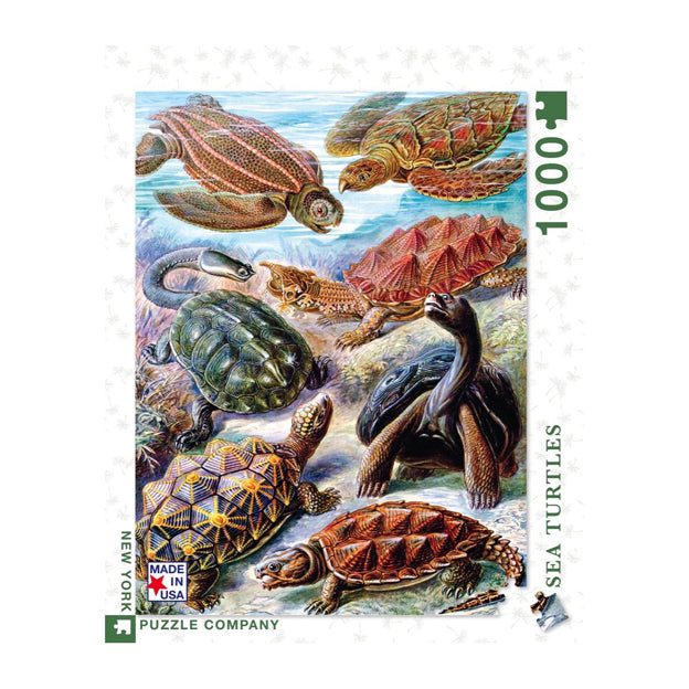 Haeckel's Turtles Puzzle
